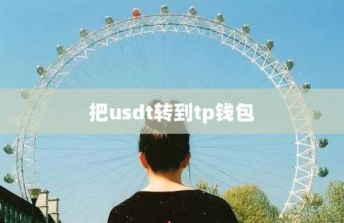 把usdt转到tp钱包