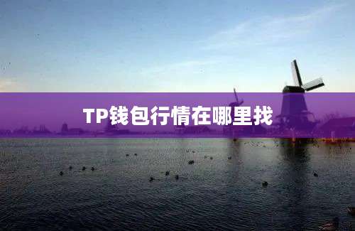 TP钱包行情在哪里找