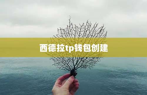 西德拉tp钱包创建