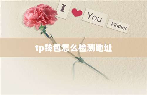 tp钱包怎么检测地址