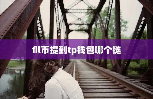 fil币提到tp钱包哪个链