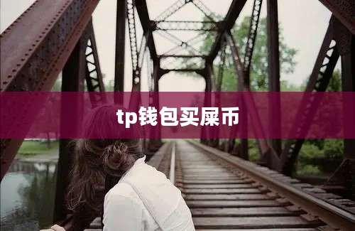 tp钱包买屎币