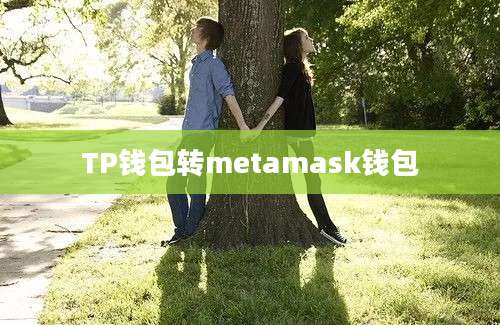 TP钱包转metamask钱包