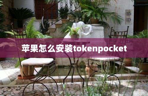 苹果怎么安装tokenpocket