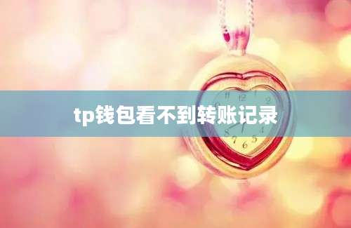 tp钱包看不到转账记录