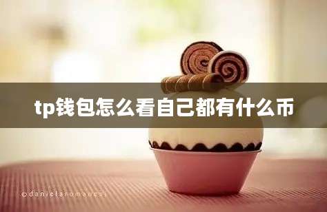 tp钱包怎么看自己都有什么币