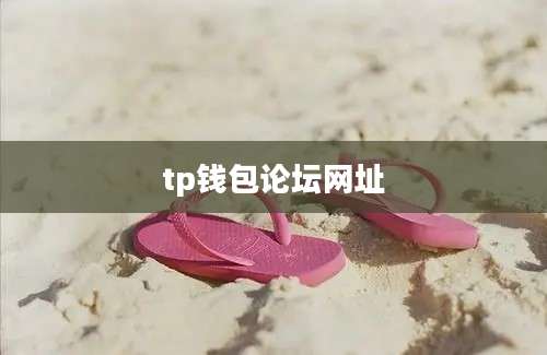 tp钱包论坛网址