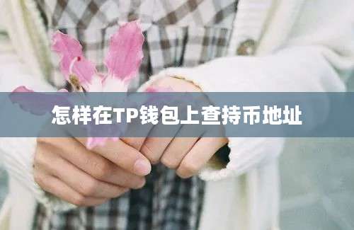 怎样在TP钱包上查持币地址