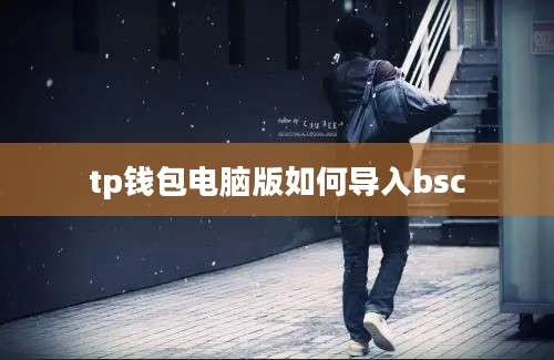 tp钱包电脑版如何导入bsc