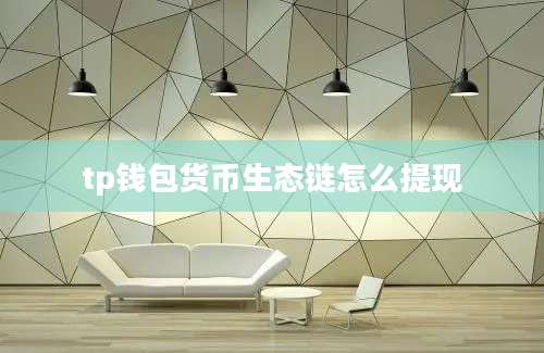 tp钱包货币生态链怎么提现