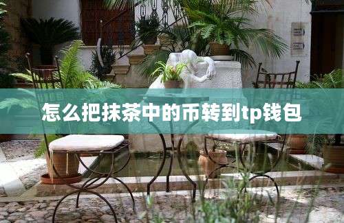 怎么把抹茶中的币转到tp钱包