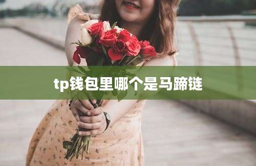 tp钱包里哪个是马蹄链