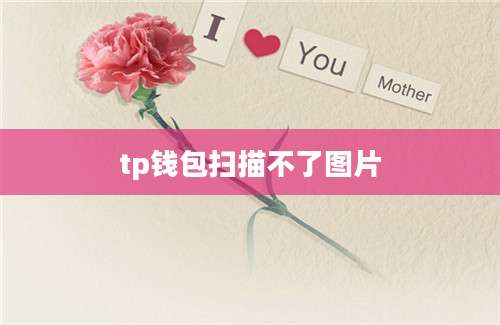 tp钱包扫描不了图片