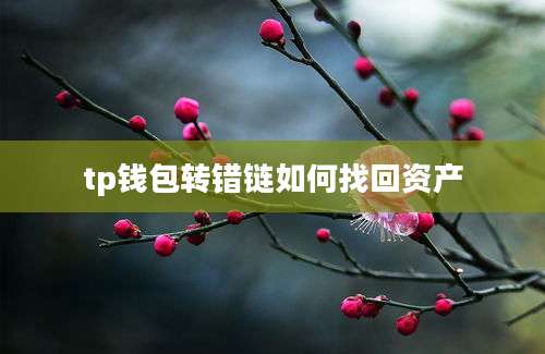 tp钱包转错链如何找回资产