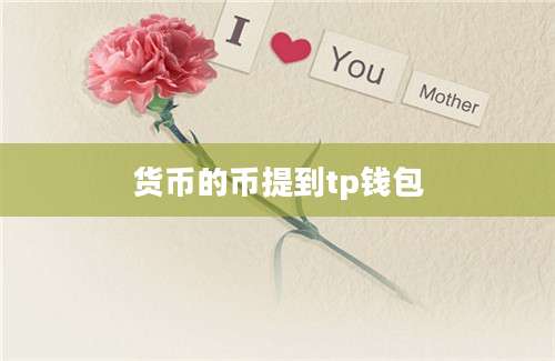 货币的币提到tp钱包