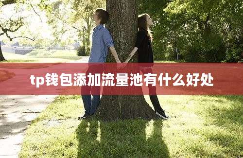 tp钱包添加流量池有什么好处