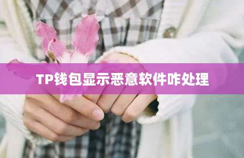 TP钱包显示恶意软件咋处理