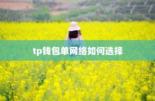 tp钱包单网络如何选择