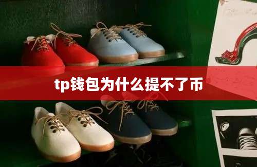 tp钱包为什么提不了币