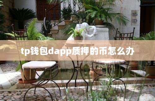 tp钱包dapp质押的币怎么办