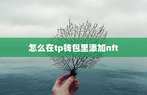 怎么在tp钱包里添加nft