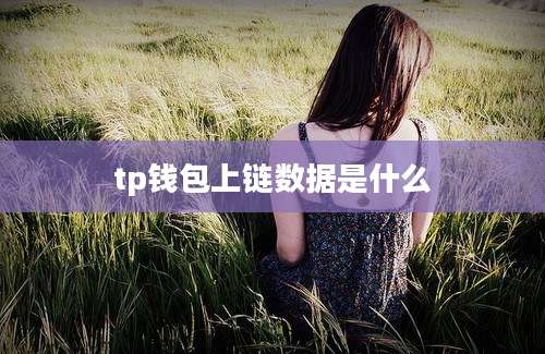 tp钱包上链数据是什么