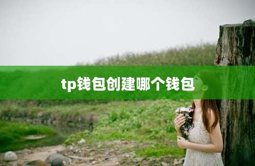 tp钱包创建哪个钱包