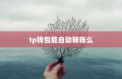 tp钱包能自动转账么