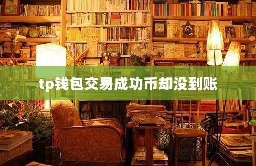 tp钱包交易成功币却没到账