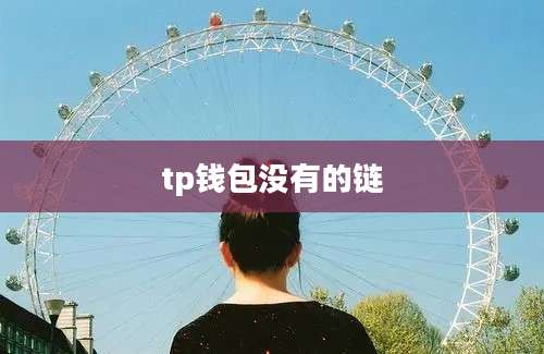 tp钱包没有的链