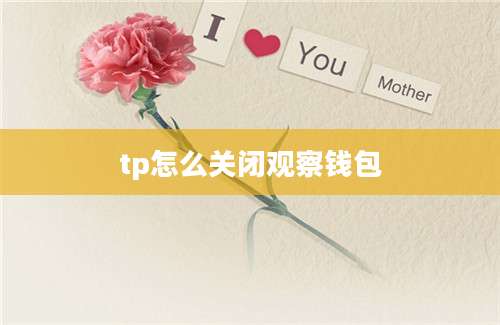 tp怎么关闭观察钱包