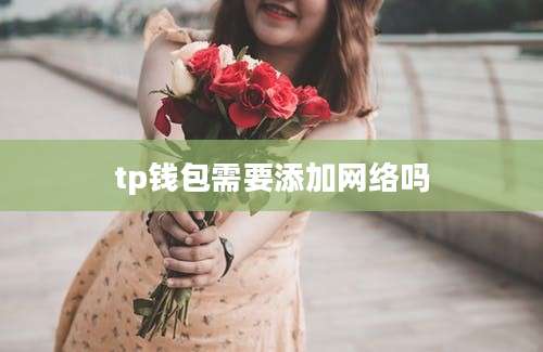tp钱包需要添加网络吗
