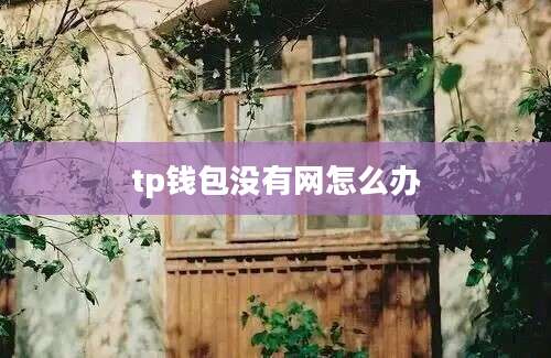 tp钱包没有网怎么办