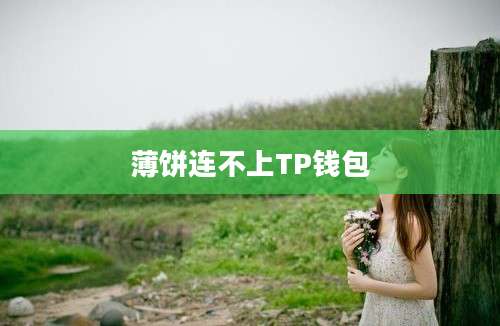 薄饼连不上TP钱包