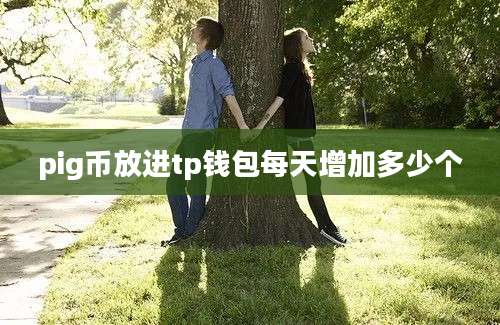pig币放进tp钱包每天增加多少个