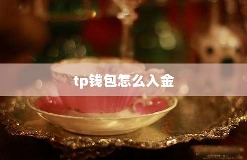 tp钱包怎么入金