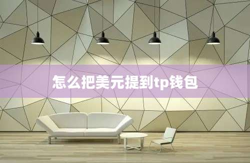 怎么把美元提到tp钱包