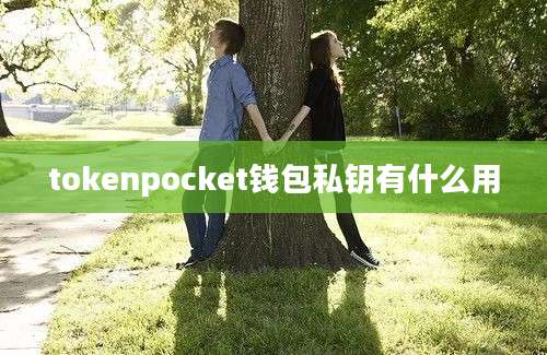 tokenpocket钱包私钥有什么用