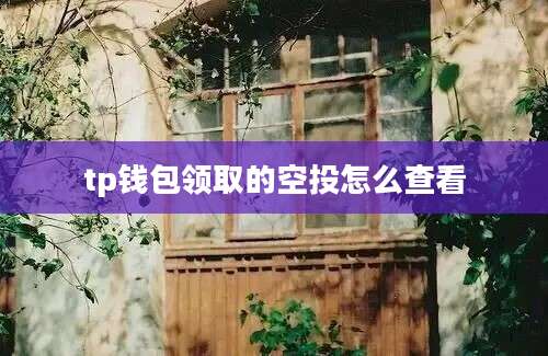 tp钱包领取的空投怎么查看