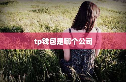 tp钱包是哪个公司