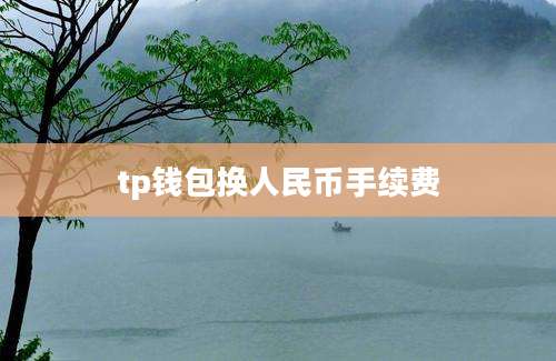 tp钱包换人民币手续费