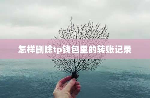 怎样删除tp钱包里的转账记录