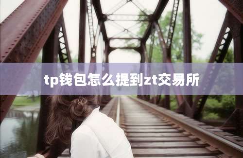 tp钱包怎么提到zt交易所