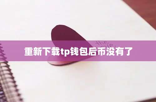 重新下载tp钱包后币没有了
