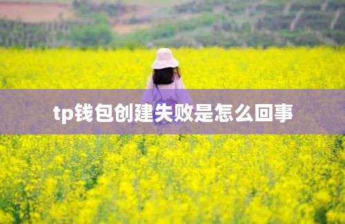 tp钱包创建失败是怎么回事