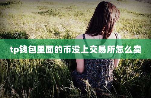 tp钱包里面的币没上交易所怎么卖