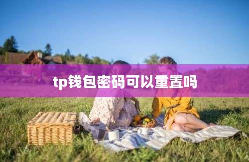 tp钱包密码可以重置吗