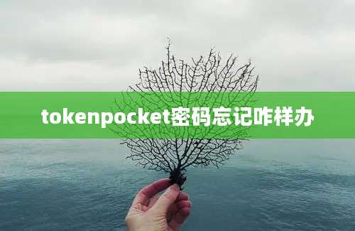 tokenpocket密码忘记咋样办