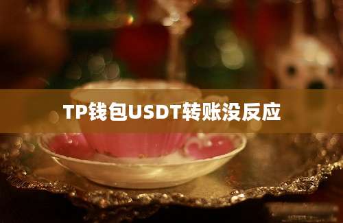 TP钱包USDT转账没反应
