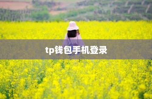 tp钱包手机登录
